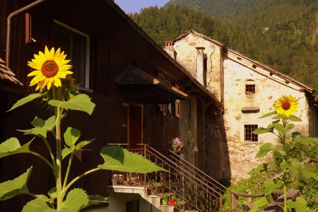 Hotel Di Baut à Ovaro Extérieur photo