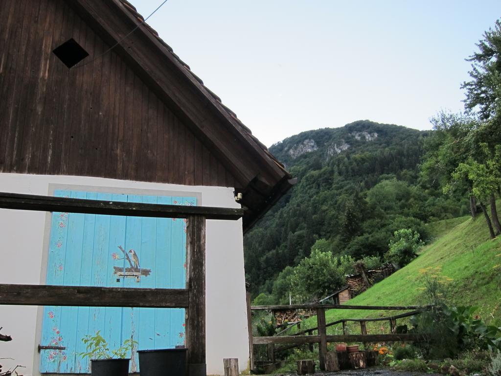 Hotel Di Baut à Ovaro Extérieur photo